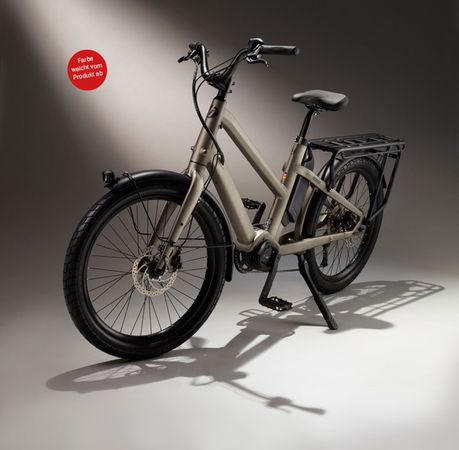 BOOST 10D CX Step Through E-Cargobikes 25km/h / wasabi green