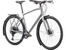 SIRRUS X 4.0 EQ City- und Alltagsvelo / satin liquid silver satin fogtnt / M