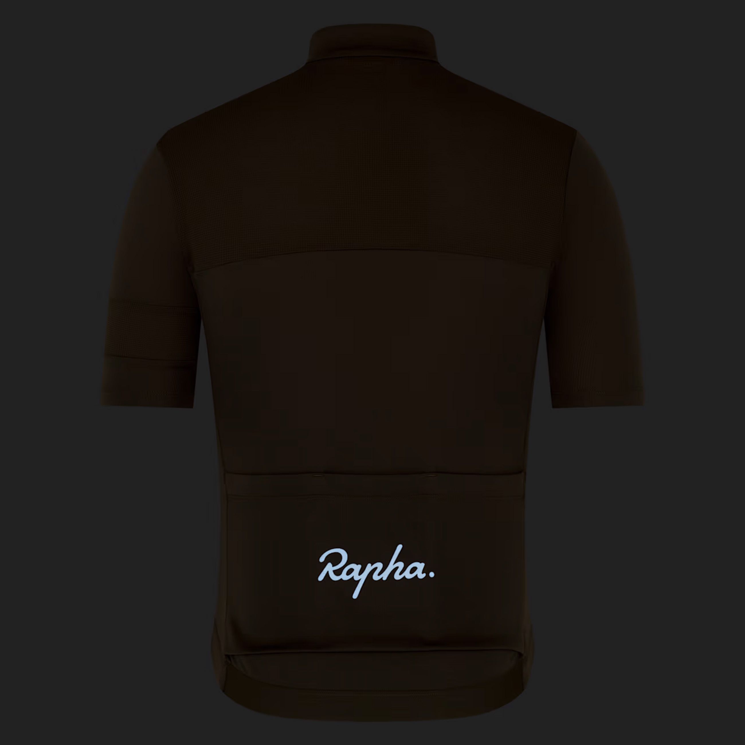 BREVET ELEMENT Herren-Kurzarmtrikot / kalamata/deep depths / M