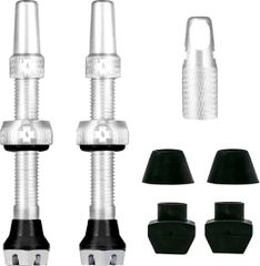 V2 Tubeless Ventil Kit / Silver / 44 mm