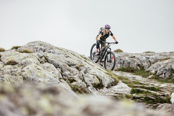 FUEL EX 9.7 GEN 6 MTB Fully / mercury / XL