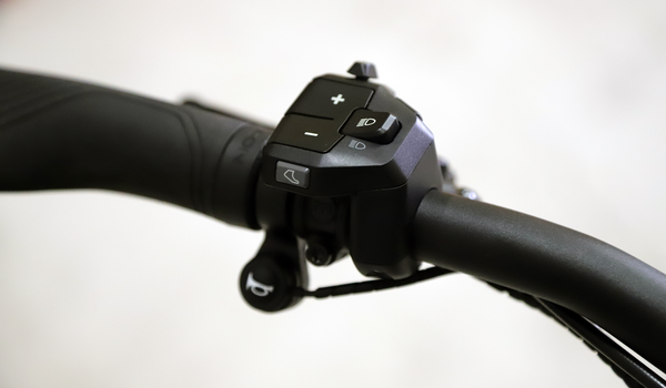 CHARGER5 PINION HS E-Bike 45km/h / Magnesium / 49 CM
