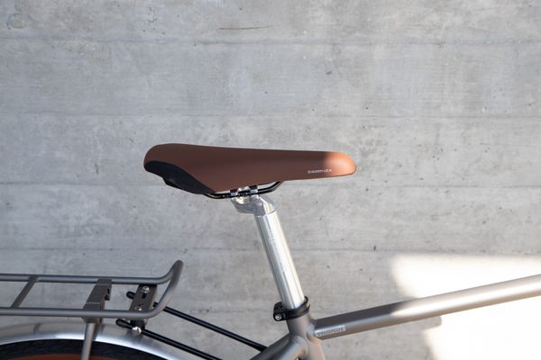 LAZY DAY GATES ALFINE 8 Men City- und Alltagsvelo / metall matt / 52 CM