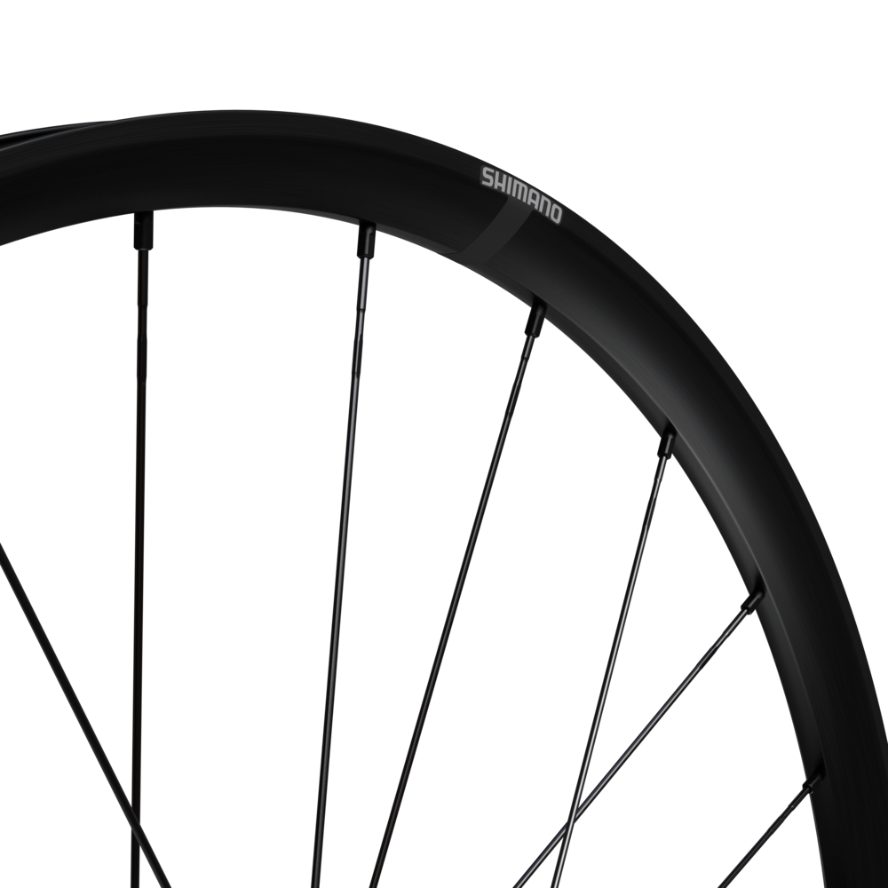 WH-RX180 Hinterrad 28", Achse 12mm / schwarz / HG L 2x12,  DB CL, 142mm
