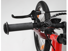 FLiZZi 20 RIEMEN Kindervelo / rot/dunkel / 20 ZOLL