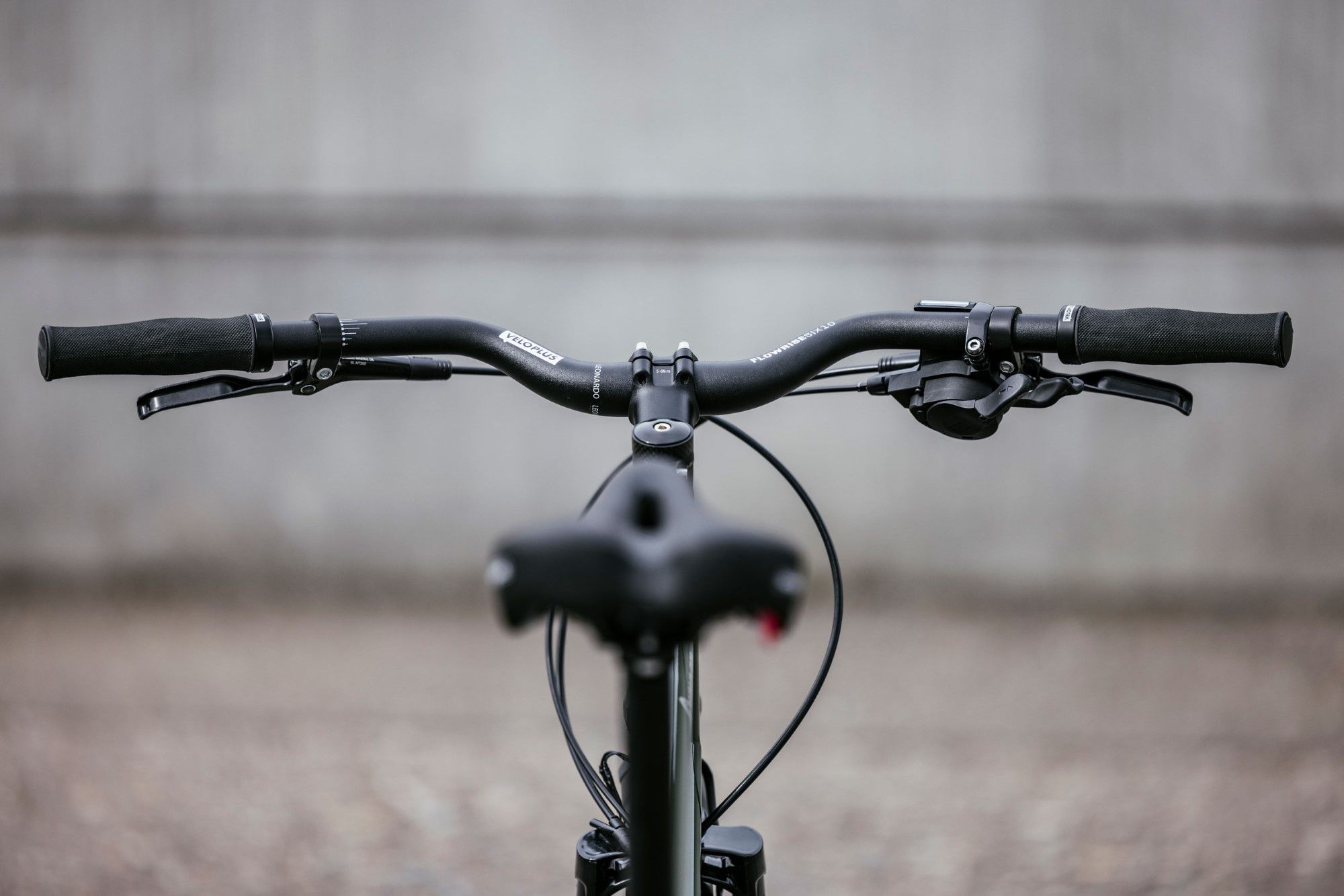 CUMPAN PATRUN City- und Alltagsvelo / kieferngrün / M