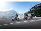 Road Edge 2.0 Performance / white_black / 43