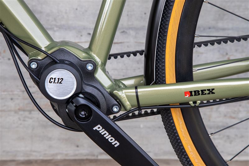DAILY QUEST Pinion City- und Alltagsvelo / grün / 58 CM
