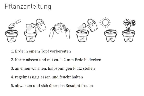 Growing Paper Karte Velo / gelb
