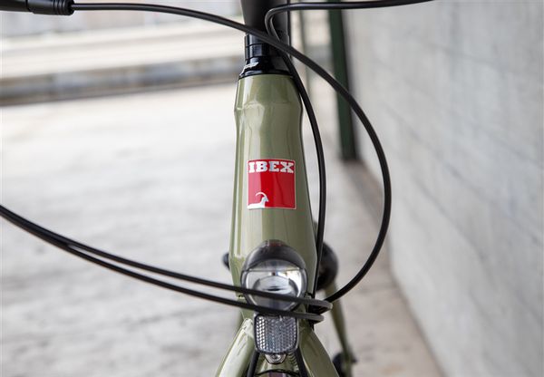 DAILY QUEST Pinion City- und Alltagsvelo / grün / 58 CM