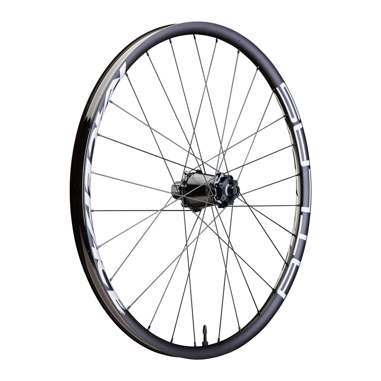 Atlas 30 ALU MTB CLN 6 Bolt Wheel / black / 29"/12x157-SB SHI