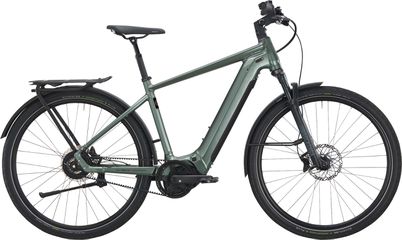 ENJOY GT 8 E-City- und Alltagsvelo / D. Green glanz pure / 56cm