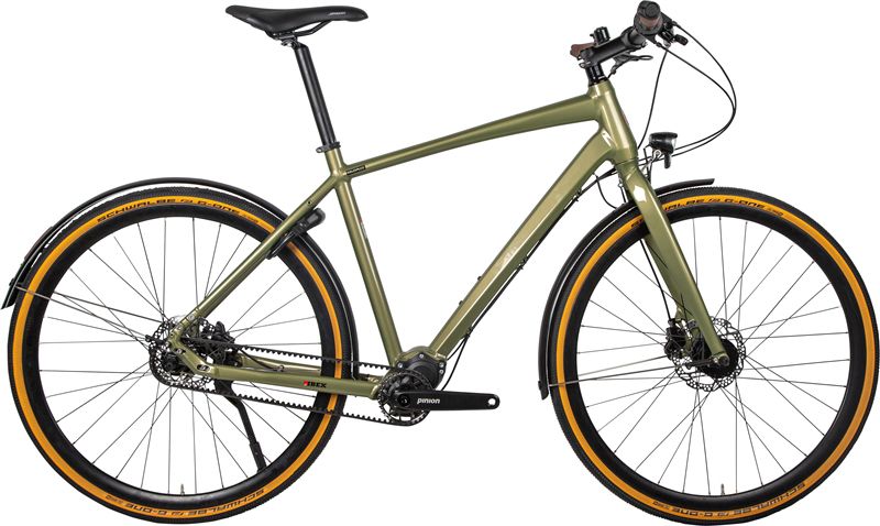 DAILY QUEST Pinion City- und Alltagsvelo / grün / 58 CM