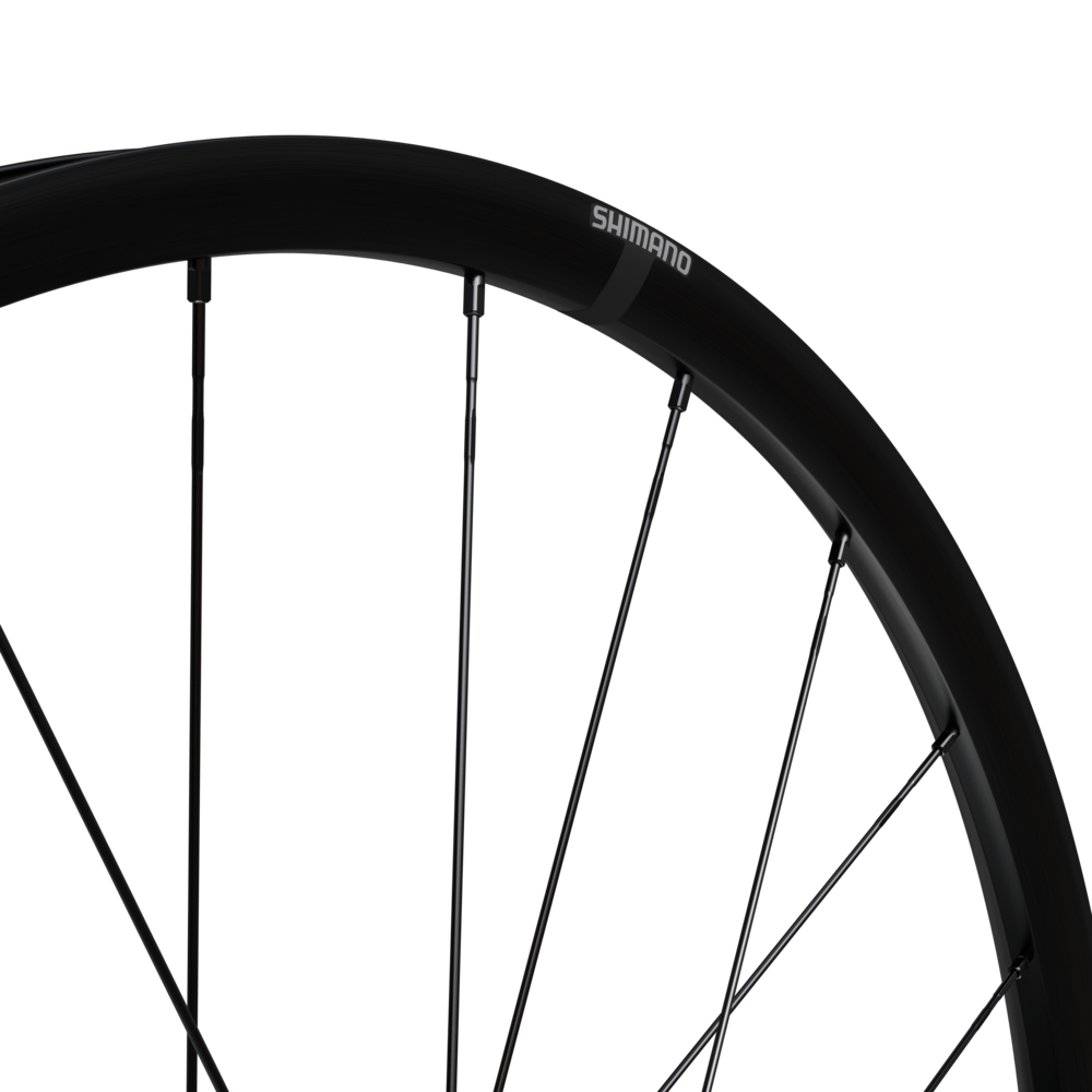 WH-RX180 Vorderrad, Achse 12mm / schwarz / 28", DB CL, 100mm