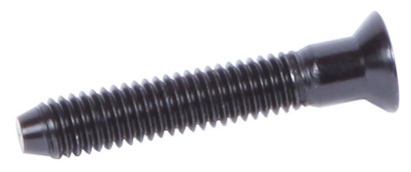 ALU-SENKKOPFSCHRAUBE zu Vorbaudeckel M6 x 35mm / schwarz