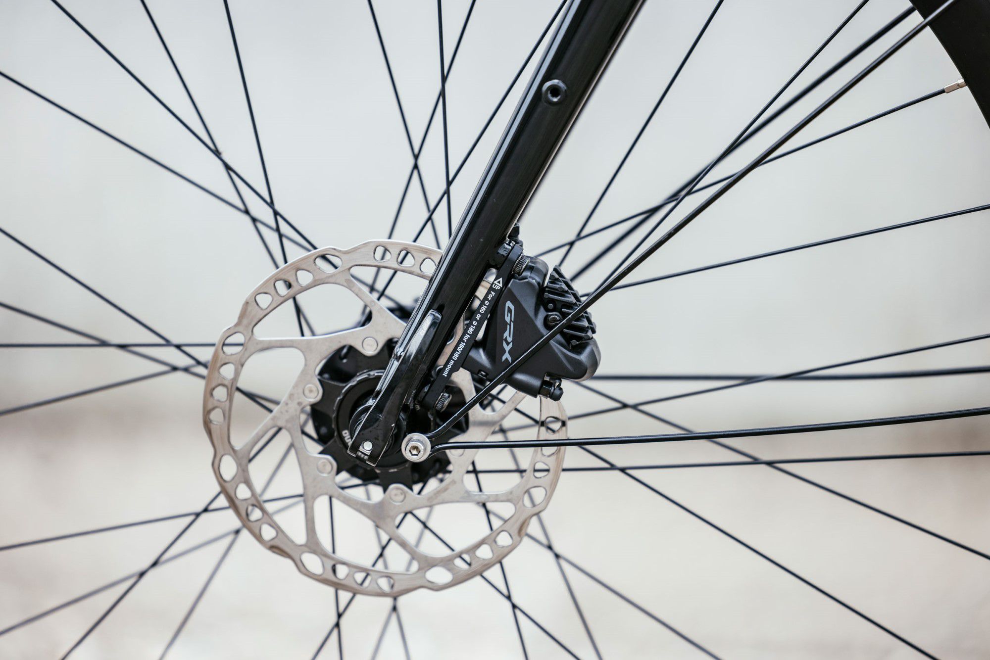 CUMPAN MATURN City- und Alltagsvelo / kieferngrün / S