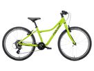 CHAMELEON 24 ZOLL MK2 / light green / 24 ZOLL