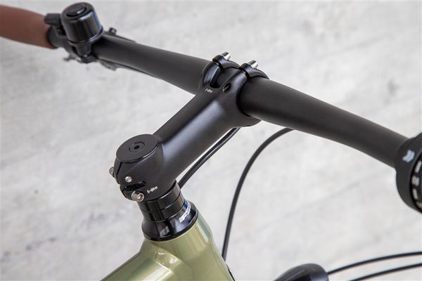 DAILY QUEST Pinion City- und Alltagsvelo / grün / 58 CM