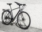 FX 2 DISC EQ City- und Alltagsvelo / satin lithium grey / S
