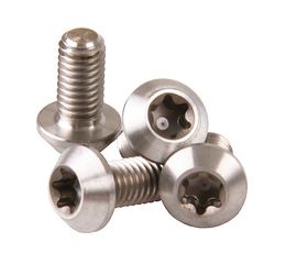 TITAN Torxschrauben T25 M5x10mm für Bremsscheiben und Bidonhalter / silber