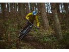 SHREDDA GRAVITY PRO EVO. TLR Reifen / 29" x 2.50, 64-622 FRONT