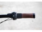 DAILY QUEST Pinion City- und Alltagsvelo / grün / 58 CM