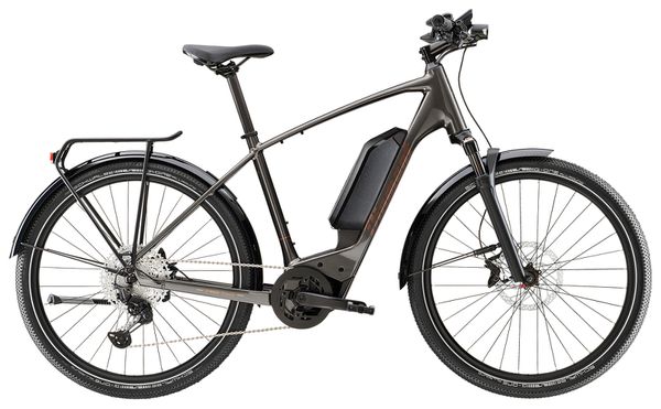 ZING DELUXE 800 E-City- und Alltagsvelo / Melanitgrau / M