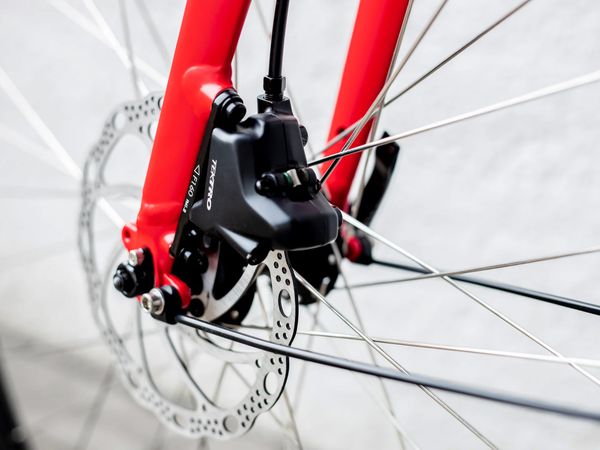 FX 2 DISC EQ City- und Alltagsvelo / satin viper red / S