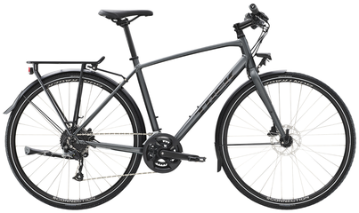 FX 2 DISC EQ City- und Alltagsvelo / satin lithium grey / M