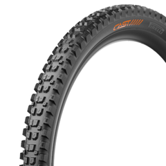 Pirelli CAST Protagonist DH Enduro HD / black / 29x2.40