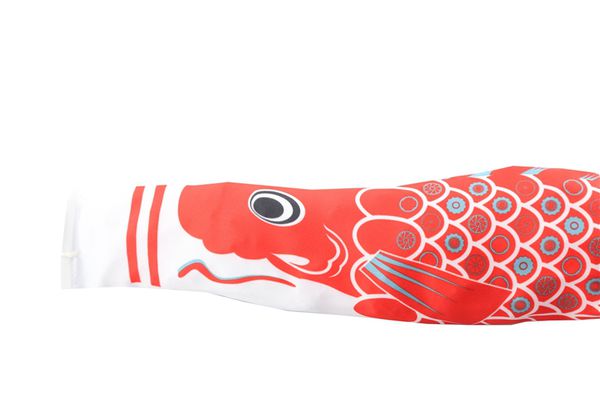 VELOPLUS-FISCH Anhängerfahne für Veloanhänger / schwarz