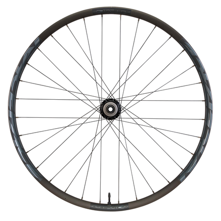 Aeffect R 30 ALU E-MTB CLN 6 Bolt Wheel / black / 29"/12x148-B SH