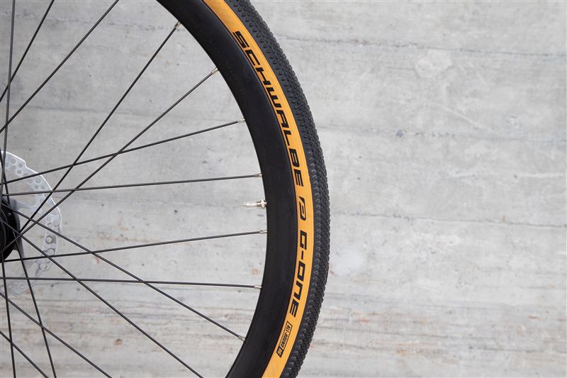 DAILY QUEST Pinion City- und Alltagsvelo / grün / 58 CM