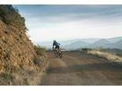 DIVERGE SPORT CARBON Gravelbike / gloss ca white sage oak black chrome clean / 58 CM