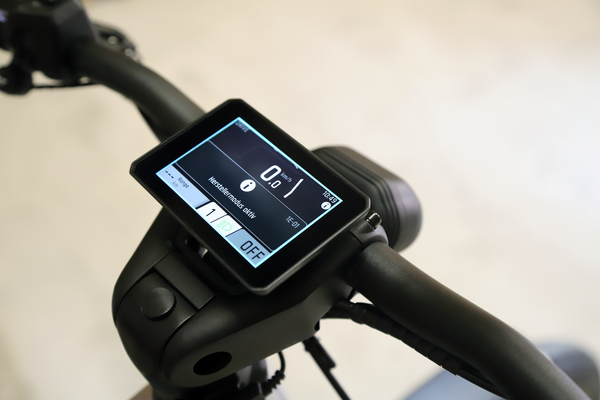 CHARGER5 PINION HS E-Bike 45km/h / Magnesium / 53 CM