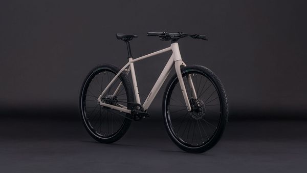 EDITOR PRO City- und Alltagsvelo / oatgrey / 54 CM