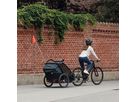 THULE CHARIOT CAB Kinderanhänger / black-darkslate