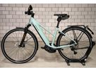 ROADSTER4 MIXTE TOURING HS E-Bike 45 km/h / salvia matt / 53 CM