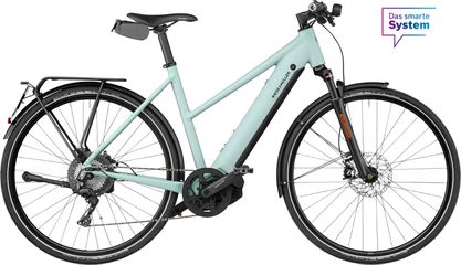ROADSTER4 MIXTE TOURING HS E-Bike 45 km/h / salvia matt / 45 CM