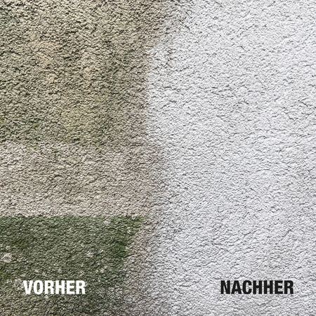 Bio-Chem Stein- und Fassadenreiniger