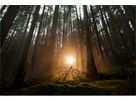 TOP FUEL 5 MTB Fully / radioactive red / L