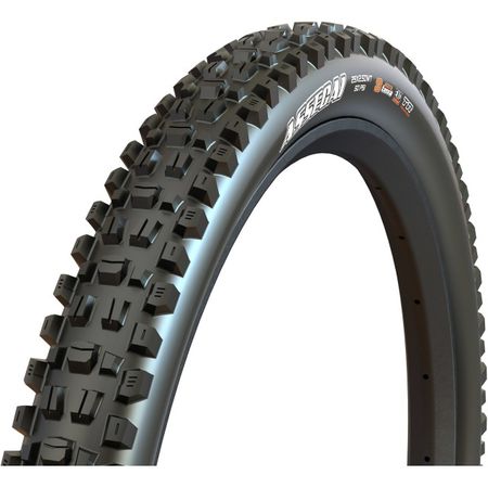 ASSEGAI MTB-Reifen (3C MaxxTerra EXO+ WT) / schwarz / 29" X 2.5"