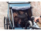 THULE COURIER 2 "3in1" Kinder-, Transport- und Hundeanhänger / blau