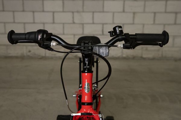 FLiZZi 20 RIEMEN Kindervelo / rot / 20 ZOLL