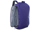 Athlete Backpack 30L / violet/black