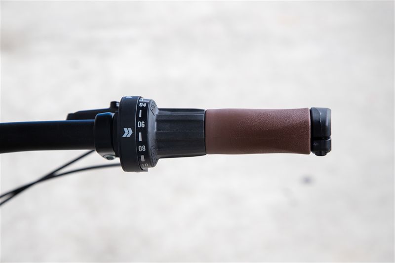 DAILY QUEST Pinion City- und Alltagsvelo / grün / 58 CM