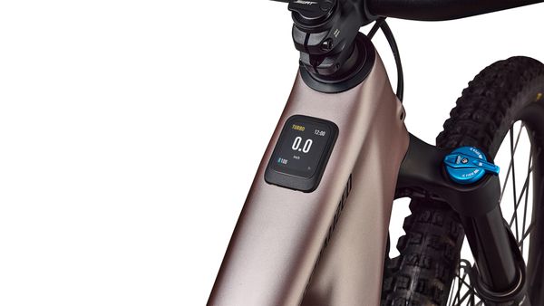 LEVO 4 COMP E-MTB / Satin Champagne / S2