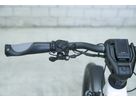 HOMAGE GT ROHLOFF Crossover E-Bike / pearl white / 49 CM