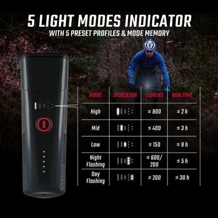 Sigma Lichtset Buster 800 FL & Buster RL 150 / schwarz