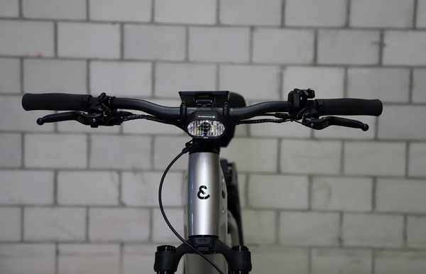 CHARGER5 PINION HS E-Bike 45km/h / Magnesium / 53 CM